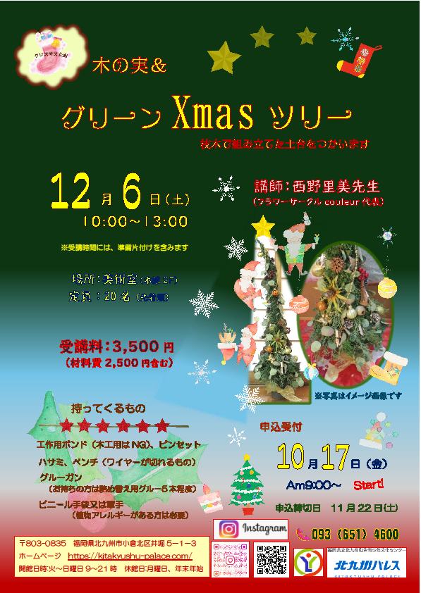クリスマス企画「木の実＆グリーンXmasツリー」